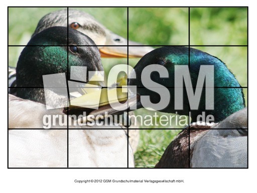 Puzzle-Stockente-9.pdf